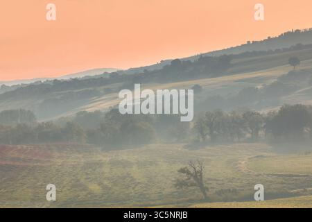 157 farbenprächtiger Sonnenaufgang über dem Val d'Orcia Valley sanften Hügeln und Gehöften, nordöstlich von den San Quirico Zypressen gesehen. Toskana-Italien Stockfoto