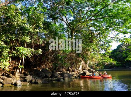 13. April 2014, Nicaragua: Kajakfahren auf Isletas de Granada, Inseln im Nicaragua-See in Mittelamerika. Die Inseln reichen von ein paar Metern bis zu mehr als einem Hektar; viele der größeren Inseln sind unbewohnt und stehen zum Verkauf (Credit Image: © Sergi Reboredo/ZUMA Wire) Stockfoto