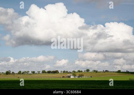 April 2020, Yebes, GUADALAJARA, SPANIEN: Einzelheiten zum ländlichen Gebiet in Yebes während der COVID-19-Pandemie am 24. April 2020 in Madrid, Spanien (Kreditbild: © Oscar J. Barroso/AFP7 Via ZUMA Wire) Stockfoto