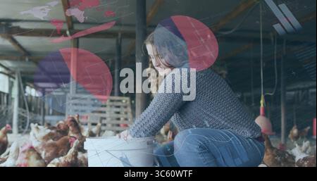 Hockender Betriebsinhaber, der Futter in einen Metalltrog in der Geflügelscheune gießt und weißen Eimer hält Stockfoto