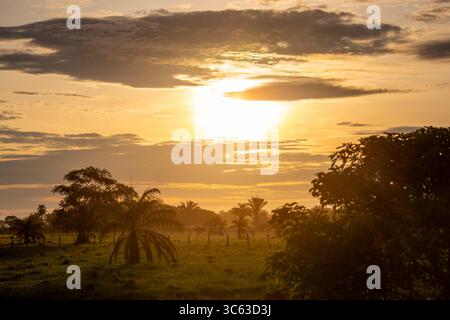Ein atemberaubender Sonnenuntergang über der üppigen Landschaft von Casanare, Kolumbien, mit lebhaften Farben und ruhiger Natur. Stockfoto