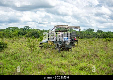 Ein Geländefahrzeug, das durch üppiges Grün in Casanare, Kolumbien, navigiert und die Schönheit der Natur und die abenteuerlichen Outdoor-Erlebnisse zeigt. Stockfoto