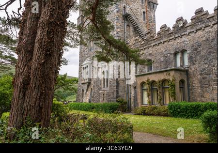 Steinturm und Zinnen von Glenveagh Castle mit Bogenfenstern, Efeu, Baumstamm und Grün im Vordergrund, County Donegal, Irland. Stockfoto