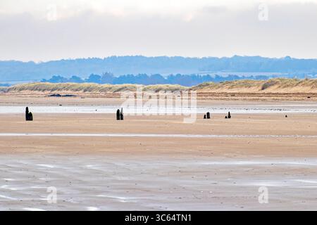 Die weite, windgepeitschte Weite der Norfolk Küste bei Ebbe. Stockfoto