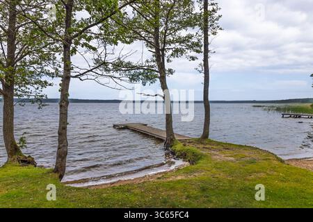 Der Wooden Pier erstreckt sich vom grasbewachsenen lettischen Seeufer durch Pines in Richtung Calm Water Horizon Stockfoto
