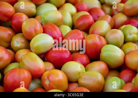 Frische, reife Tomaten werden im Supermarkt verkauft. Frische rote Tomaten, rote Tomaten Hintergrund Stockfoto