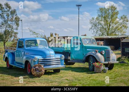 20. April 2025: Limmen-Niederlande: Zwei restaurierte amerikanische Vintage-Pickup-Trucks parkten in ländlicher Umgebung als Teil einer Ausstellung während der Bloemendagen Stockfoto