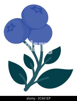 Handgezeichneter Heidelbeerzweig mit Reifen Beeren und Blättern. Niedliche botanische Illustration für Verpackung, Küchendekor, Aufkleber, Etiketten, Logos Stock Vektor