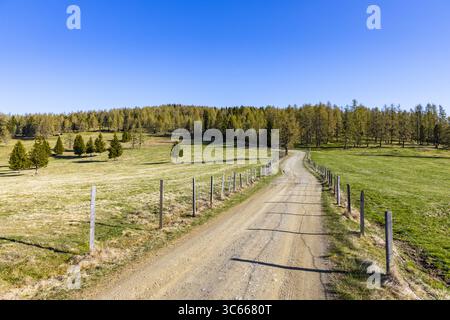Blick auf eine kurvige Schotterstraße, die durch lebhafte grüne Felder führt und in einen dichten Wald unter klarem blauen Himmel führt, Hochrindl, Kärnten, Österreich. Stockfoto