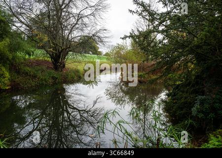 Batsford Arboretum Cotswold Herbst Cotswolds blüht Bäume Blätter rot England Stockfoto