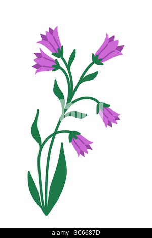 Isolierte Lila Glockenblume, Flache Illustration Stock Vektor