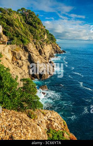 Blick auf die Küste von Portofino, Italien auf dem Meer. Stockfoto