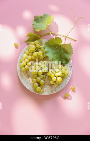 Frische Trauben im Sonnenlicht auf Keramikplatte, flache Lagen. Stockfoto