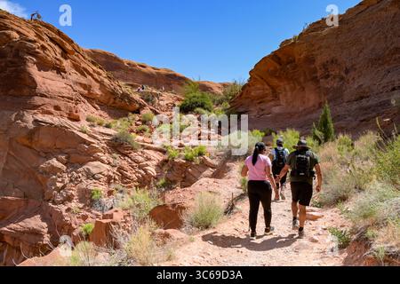Moab, Utah, USA - 25. Mai 2025: Gruppe von Menschen, die auf einem Pfad über felsiges Gelände in der Nähe von Moab wandern Stockfoto