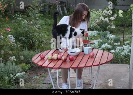 Überraschte Frau in weißem Kleid mit einer schwarz-weißen Katze, die auf einen roten Tisch mit Äpfeln und Blumen springt. Aufnahme auf weißem Hintergrund. Szene der Outdoor bre Stockfoto