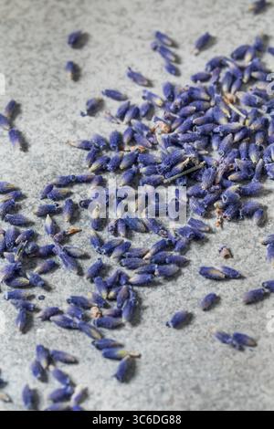 Rohe lila Bio-Lavendelkräuter in einer Schüssel zum Kochen Stockfoto