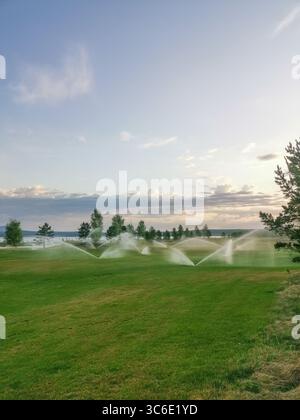 Bewässerungssprinkler auf dem Golfplatz Stockfoto