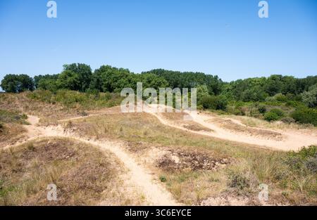 Doornpanne Dünen Naturpark in Oostduinkerke, Koksijde, Westflandern, Belgoium 9. Juli 2025 Stockfoto