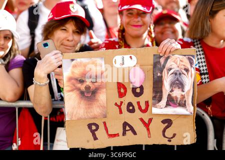 Budapest, Ungarn. 31. Juli 2025. Fans, F1 Grand Prix von Ungarn am 31. Juli 2025 in Budapest, Ungarn. (Foto von HOCH ZWEI) Credit: dpa/Alamy Live News Stockfoto