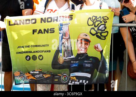 Budapest, Ungarn. 31. Juli 2025. Fans, F1 Grand Prix von Ungarn am 31. Juli 2025 in Budapest, Ungarn. (Foto von HOCH ZWEI) Credit: dpa/Alamy Live News Stockfoto