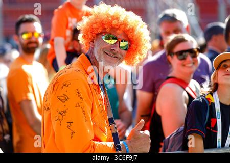 Budapest, Ungarn. 31. Juli 2025. Fans, F1 Grand Prix von Ungarn am 31. Juli 2025 in Budapest, Ungarn. (Foto von HOCH ZWEI) Credit: dpa/Alamy Live News Stockfoto