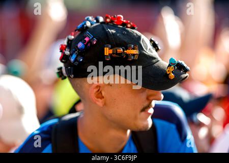 Budapest, Ungarn. 31. Juli 2025. Fans, F1 Grand Prix von Ungarn am 31. Juli 2025 in Budapest, Ungarn. (Foto von HOCH ZWEI) Credit: dpa/Alamy Live News Stockfoto