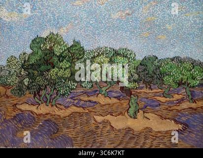Gemälde namens Olive Trees von Vincent van Gogh im New York MET Art Museum Stockfoto