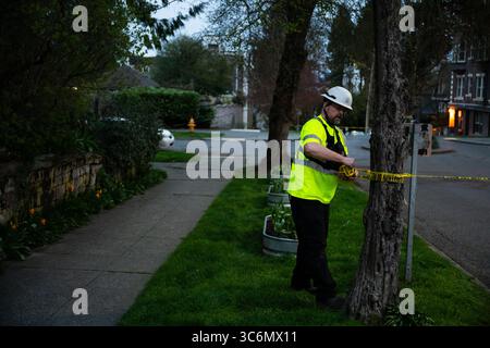 Seattle, USA. 30. März 2025. Starker Wind brachte einen Baum auf dem Capitol Hill herunter. Stockfoto