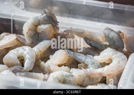 Rohe Garnelen in einer Kiste, Zubereitung an einem asiatischen Street Food-Stand Stockfoto