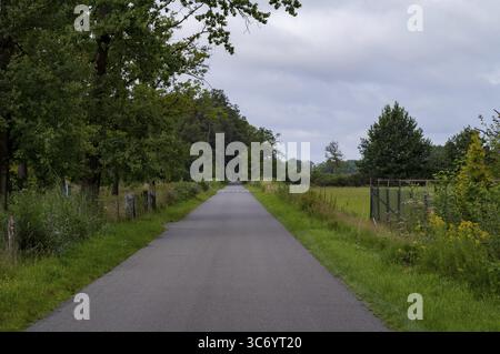 Malerischer Blick auf eine enge Asphaltstraße, die durch eine lebhafte grüne Wiese in der niederländischen Landschaft gelderland führt Stockfoto