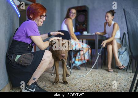 Zwei Leute in einem Café, die mit einem braunen Hund an einer Kette an einem Tisch interagieren, Cremona, Italien, 25. Juli 2025 Stockfoto