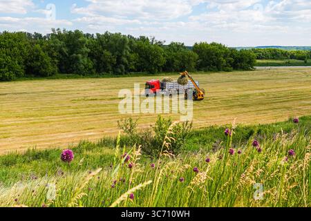Ein Arbeiter auf der Ranch, der Heuballen mit einem Traktor auf einer Ranch bewegt. Hochwertige Fotos Stockfoto