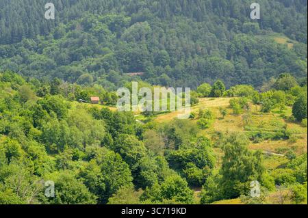 Eine malerische Hütte ist umgeben von lebhaften grünen Bäumen und sanften Hügeln im Schwarzwald. Stockfoto