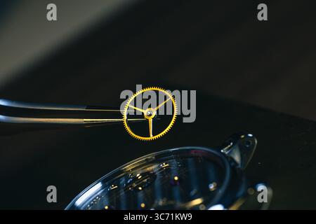 Uhrenproduktion oder Uhrenreparatur. Makroansicht des Zahnrads. Stockfoto