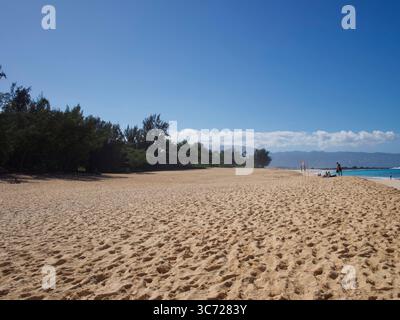 Januar 2021 – Haleiwa, Oahu, Hawaii, USA – Keiki Beach am North Shore (Foto: © Shalan Stewart/ZUMA Wire/ZUMAPRESS.com) Stockfoto