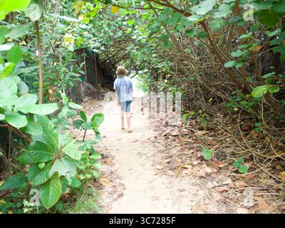 Januar 2021 – Haleiwa, Oahu, Hawaii, USA – Keiki Beach am North Shore (Foto: © Shalan Stewart/ZUMA Wire/ZUMAPRESS.com) Stockfoto