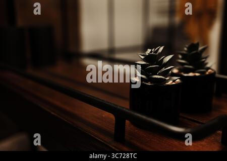 Zwei kleine künstliche Sukkulenten in schwarzen Töpfen auf einem Holzregal in einem gemütlichen Badezimmer. Moderne Einrichtung. Stockfoto