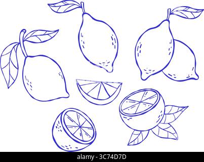 la Dolce vita. Zitronen umreißen mit Blättern gesetzt. Mediterrane Ästhetik. Vintage isoliert Sommer Minimal Citrus Tropical Wimsical Fruits Line Hand Stock Vektor