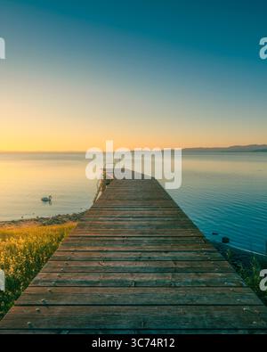Holzpier am Trasimeno-See und ein Schwan bei Sonnenuntergang. Torricella, Magione, Provinz Perugia, Region Umbrien, Italien Stockfoto