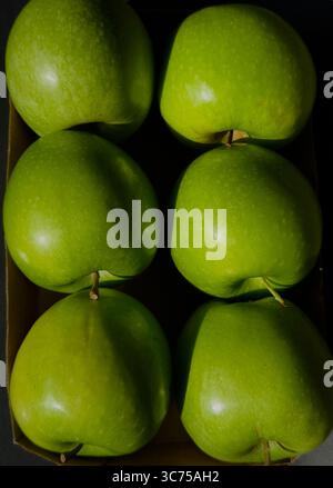 Ansicht von oben auf sechs frische grüne Äpfel, die ordentlich in einem Karton mit natürlichem Licht und dunklem Schatten angeordnet sind Stockfoto