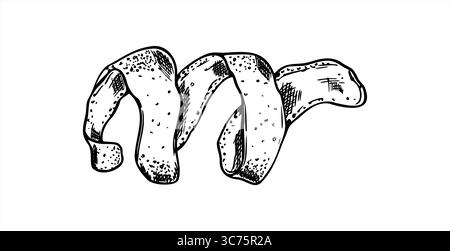 Monochrome Vektor-Illustration der ganzen Zitronenschale in Spiralform mit sichtbarer Schale. Schälen von Zitrusfrüchten Skin Art schwarze Tinte Skizze. Stock Vektor