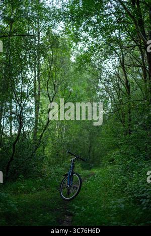 Mountainbikes parken auf einem Waldweg, umgeben von üppiger grüner Vegetation und hohen Bäumen in dichtem Waldgebiet. Stockfoto