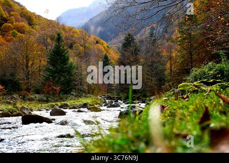 Gebirgsbach der Pyrenäen Stockfoto