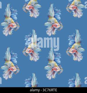 Nahtloser Hintergrund mit farbenfrohen kämpfenden siamesischen Fischen betta Spllendens Aquarell auf blauer Hand gezeichnet Stockfoto