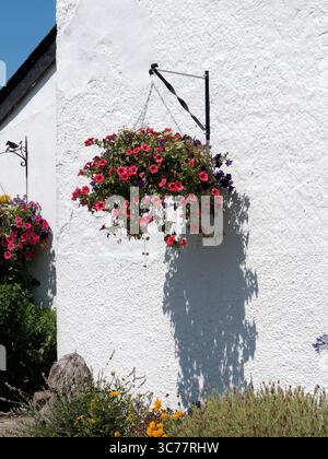 Pflug and Harrow Public House, Monknash, Pembrokeshire, Wales, Vereinigtes Königreich, Europa Stockfoto