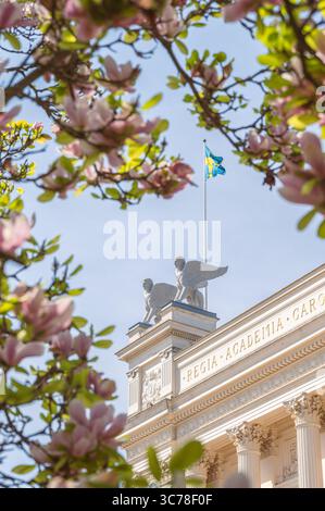 Schwedische Flagge auf dem Hauptgebäude der Lund-Universität mit Magnolienbaum in Blüte Stockfoto
