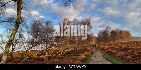 Winterspaziergang am Froggatt Edge, Derbyshire Stockfoto