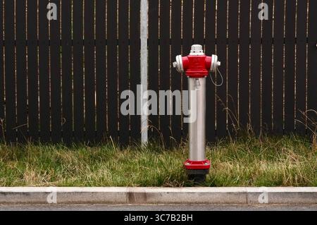 Roter Hydrant auf der Straße mit einem schwarzen Zaun im Hintergrund Stockfoto