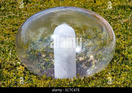 Eine Dekoration des Gartens - transparente Blase im Buchsbaumstrauch Stockfoto