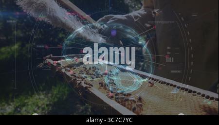 Untersuchung des Imkers mit Handschuhen mit Wabenrahmen mit Bienen am Bienenstock mit HUD-Analyse Stockfoto